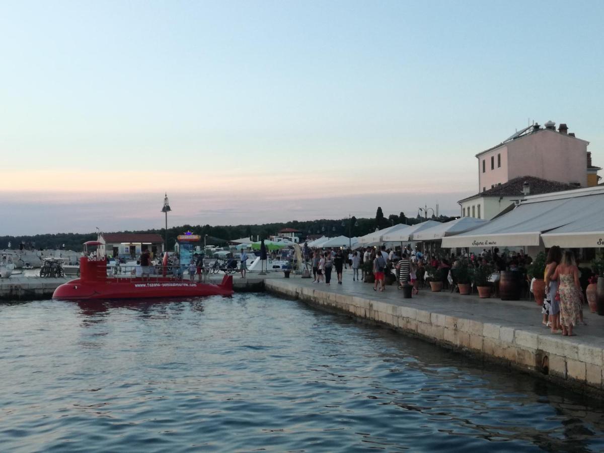 Kamelija * Fazana