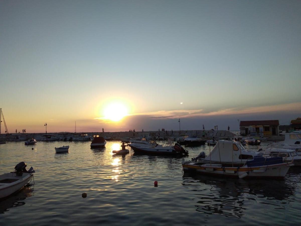 Apartmán Kamelija Fazana