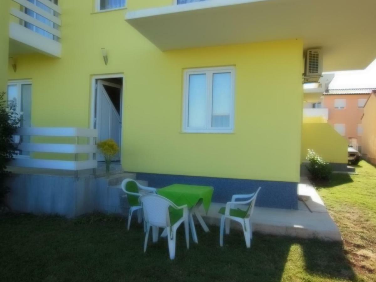 Apartment Kamelija