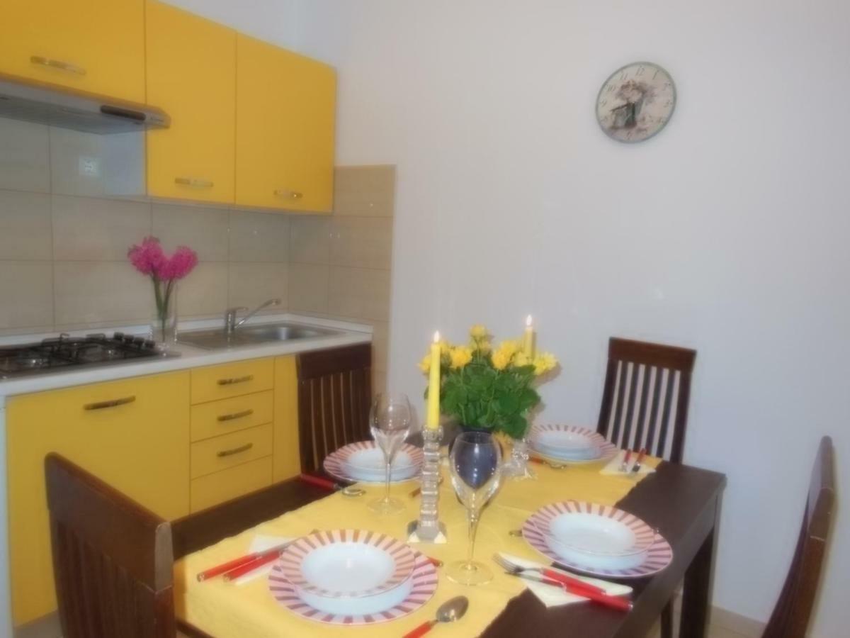 Apartment Kamelija