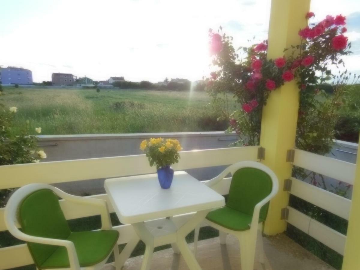 Apartment Kamelija *