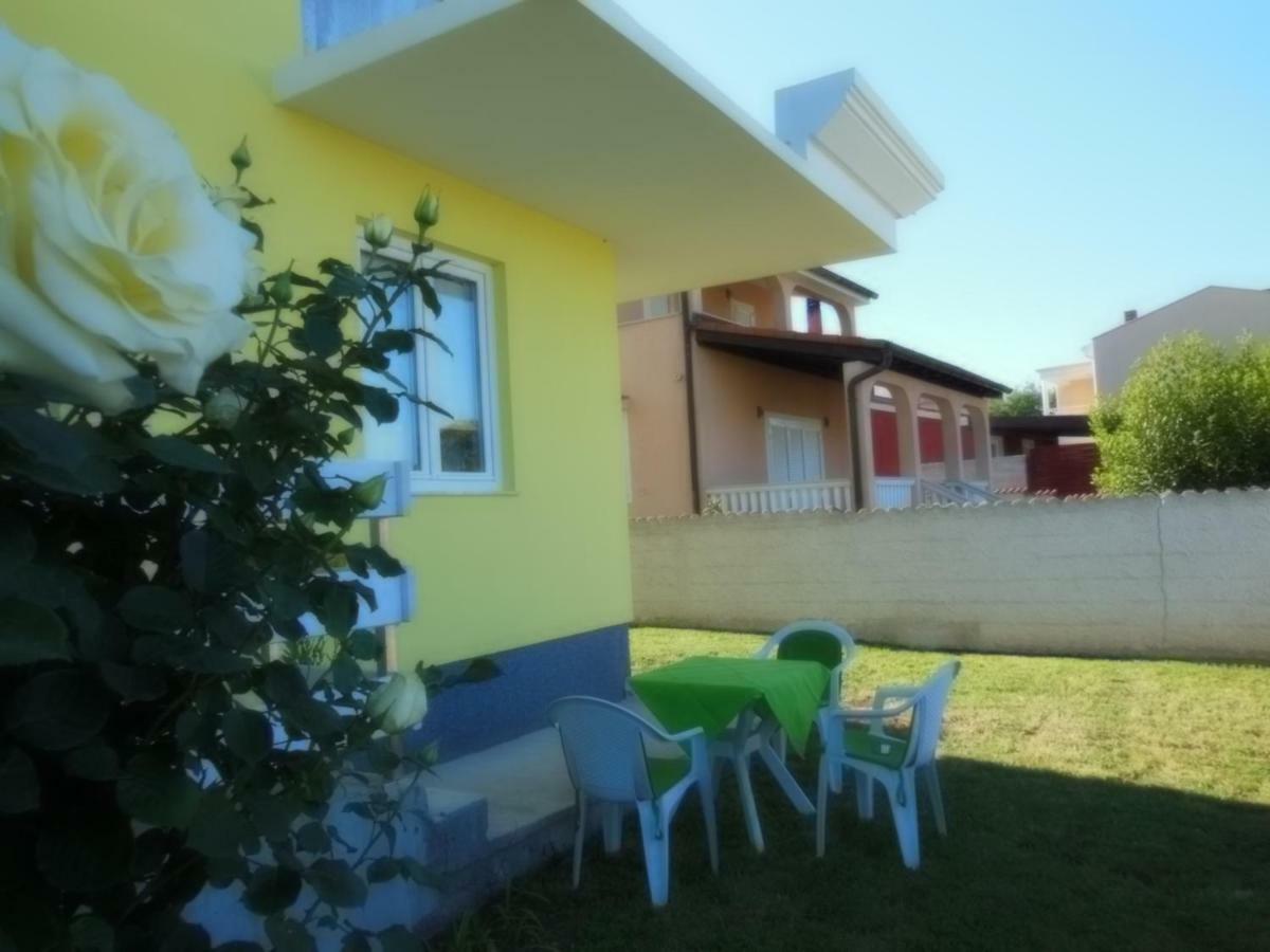 Kamelija *