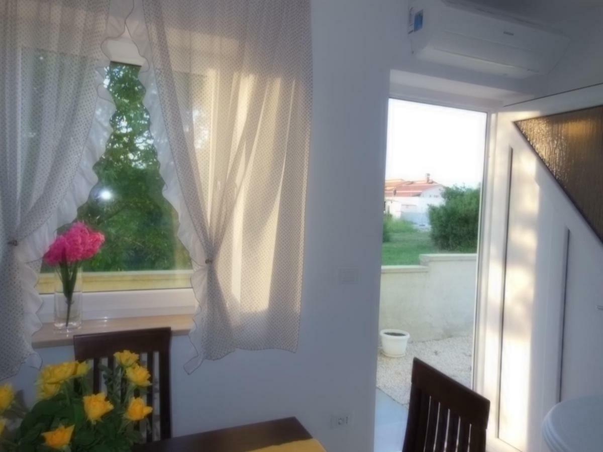 Kamelija * Fazana