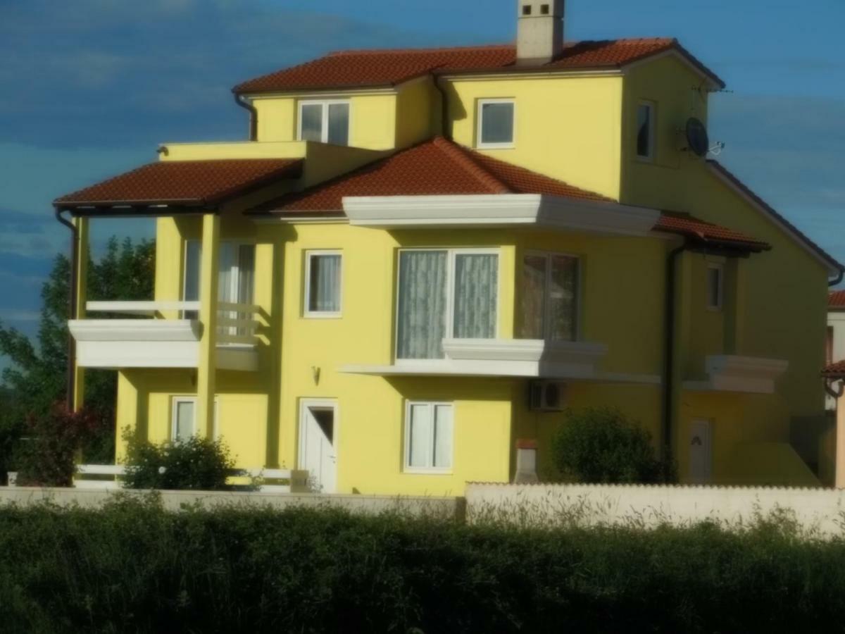 Kamelija