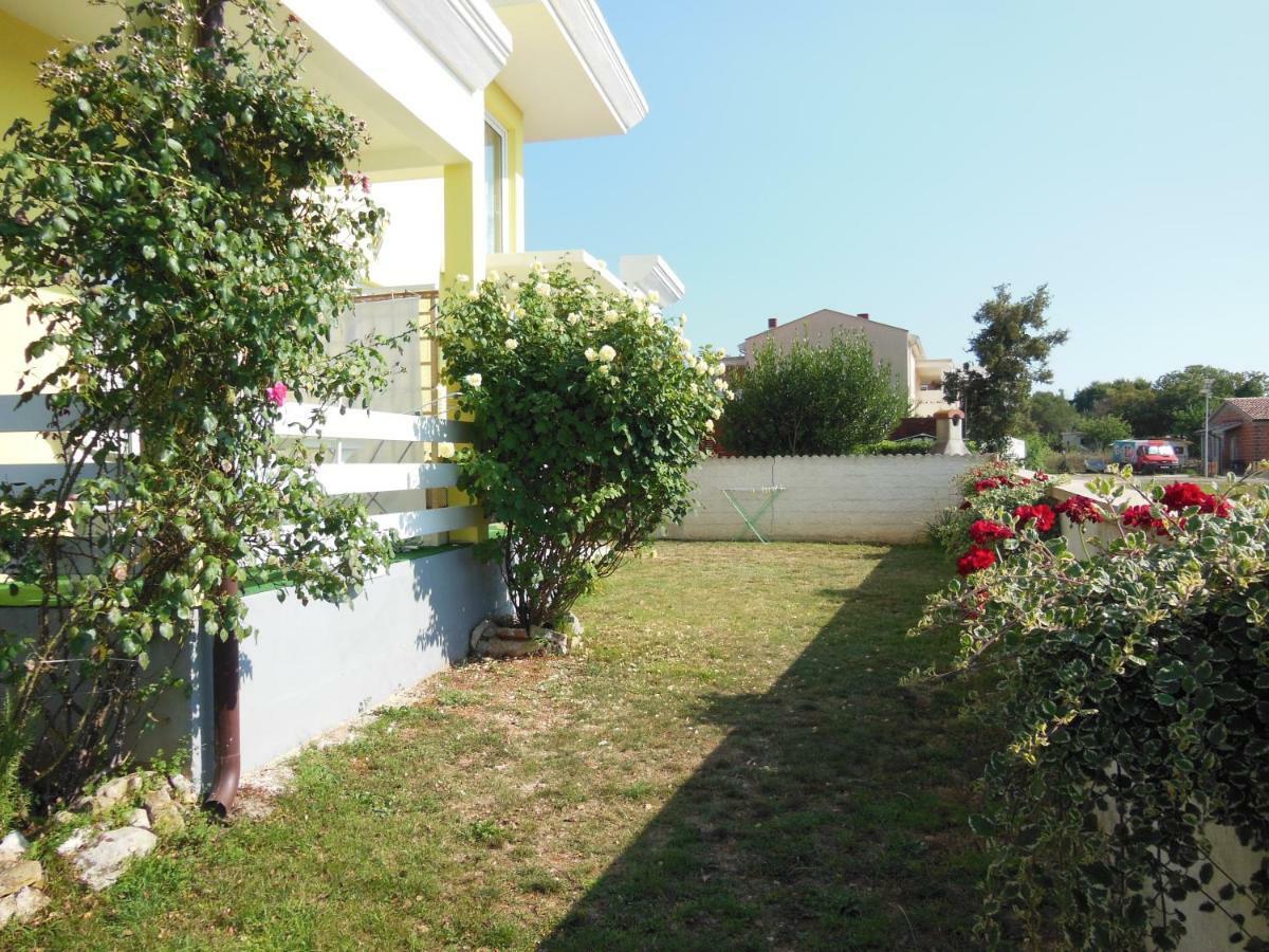 Apartment Kamelija