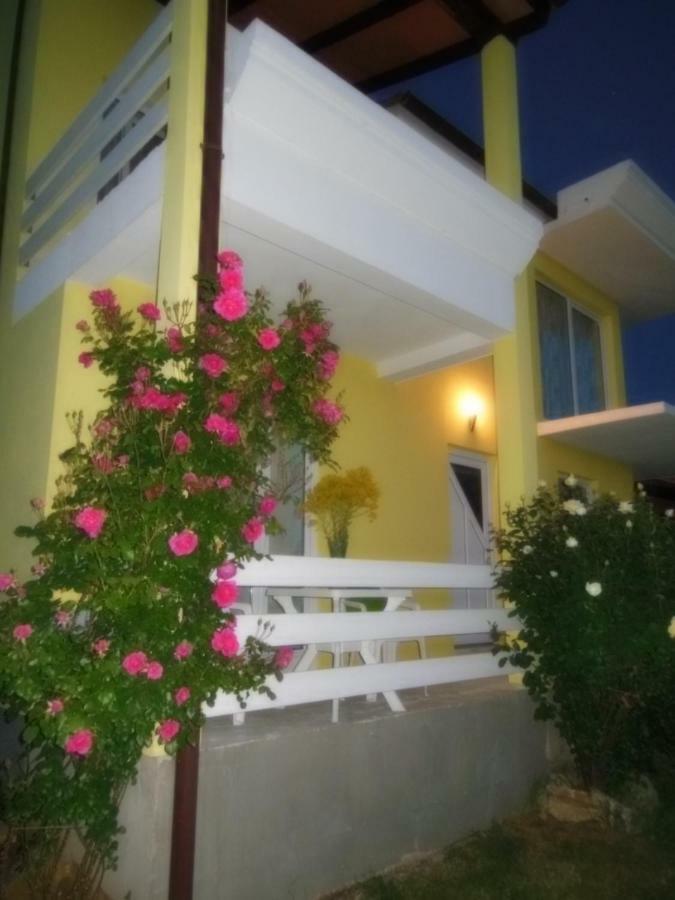 Apartment Kamelija Fazana